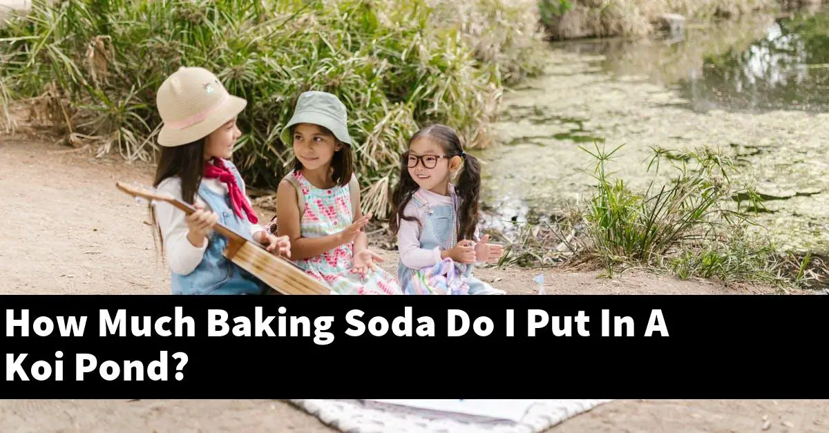 How Much Baking Soda Do I Put In A Koi Pond?