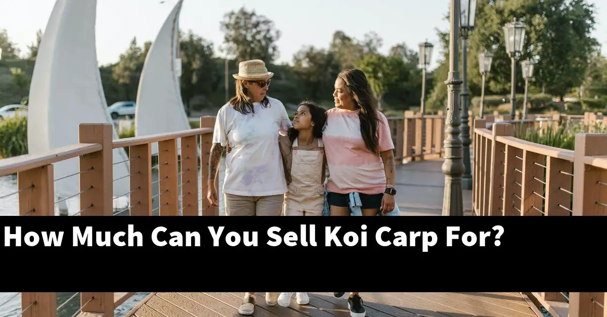 How Much Can You Sell Koi Carp For?