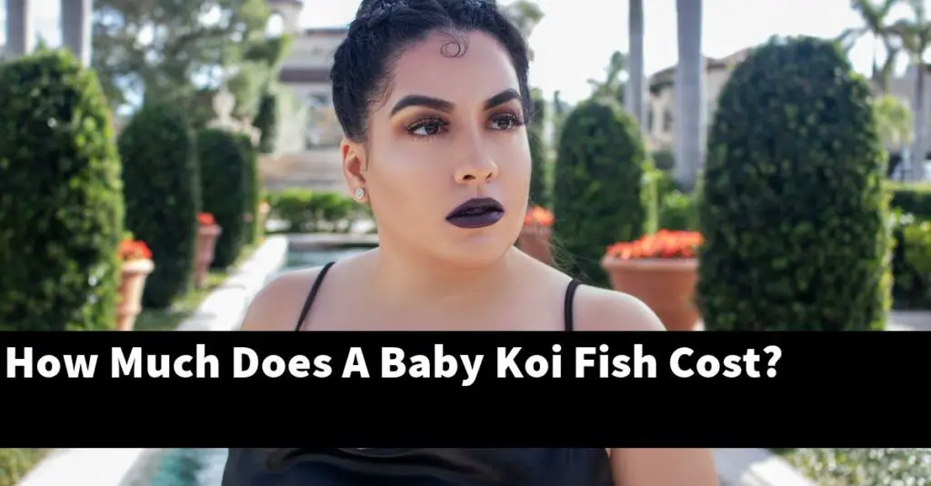 How Much Does A Baby Koi Fish Cost? [2024 Guide] Gold Koi Fish