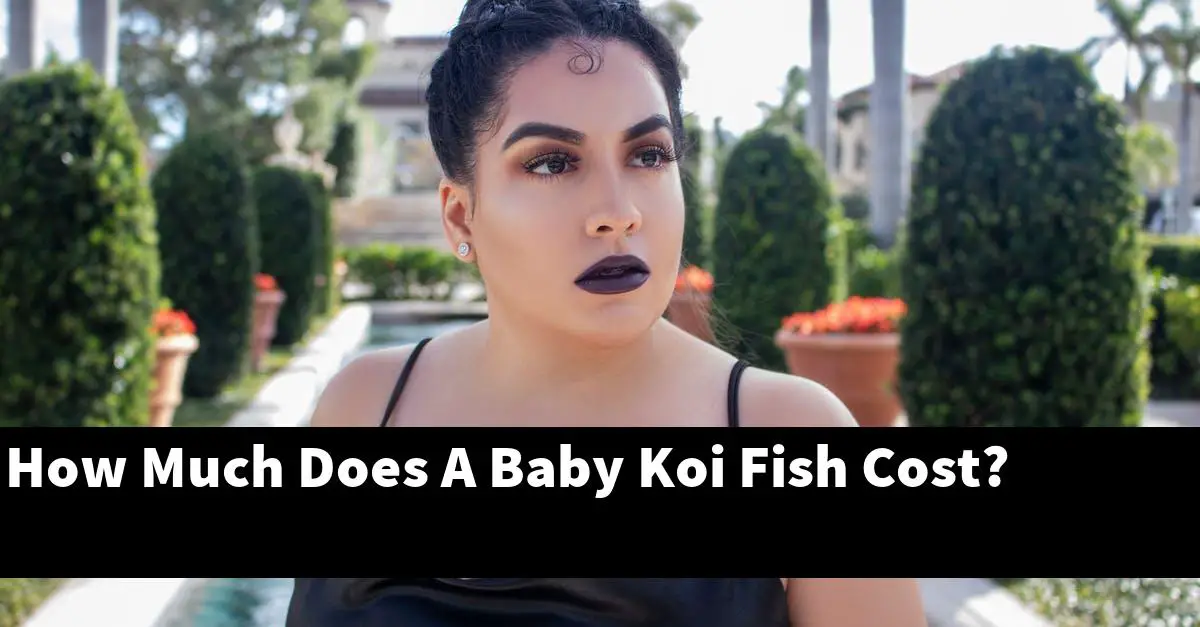 How Much Does A Baby Koi Fish Cost?