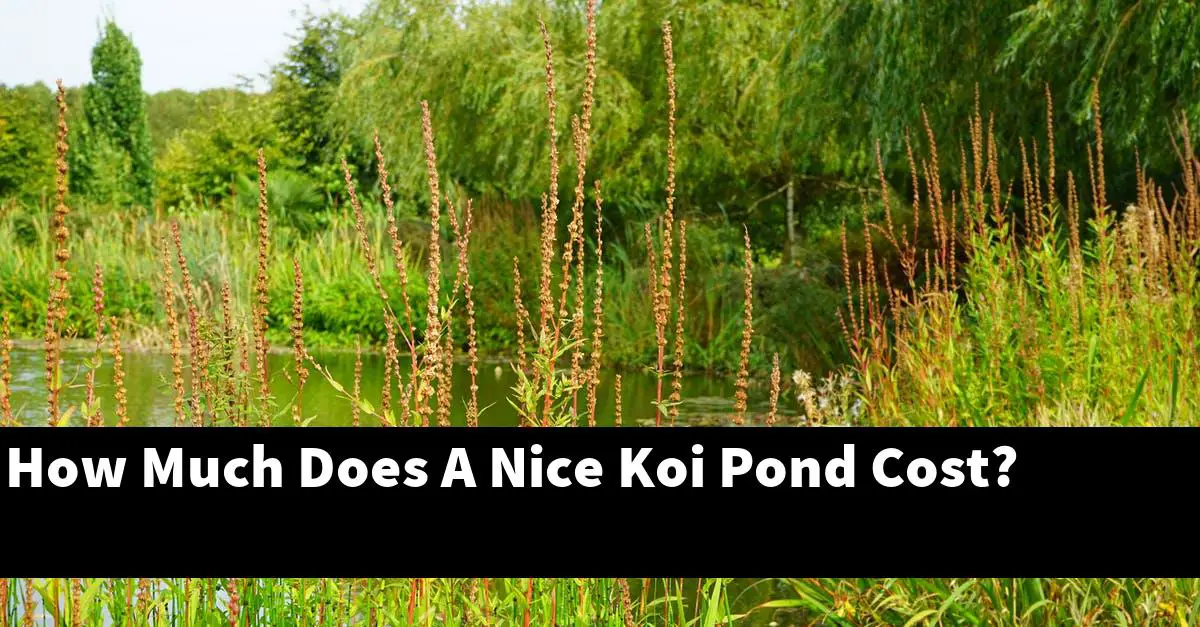 How Much Does A Nice Koi Pond Cost?