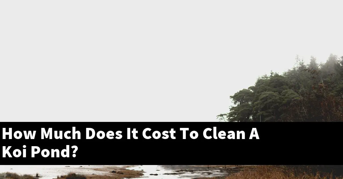 How Much Does It Cost To Clean A Koi Pond?