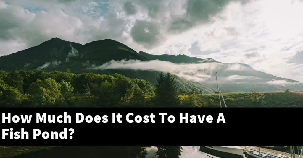 How Much Does It Cost To Have A Fish Pond? [2023 Guide] Gold Koi Fish