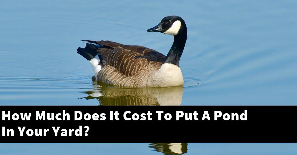 How Much Does It Cost To Put A Pond In Your Yard?