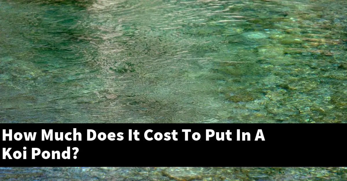 How Much Does It Cost To Put In A Koi Pond?