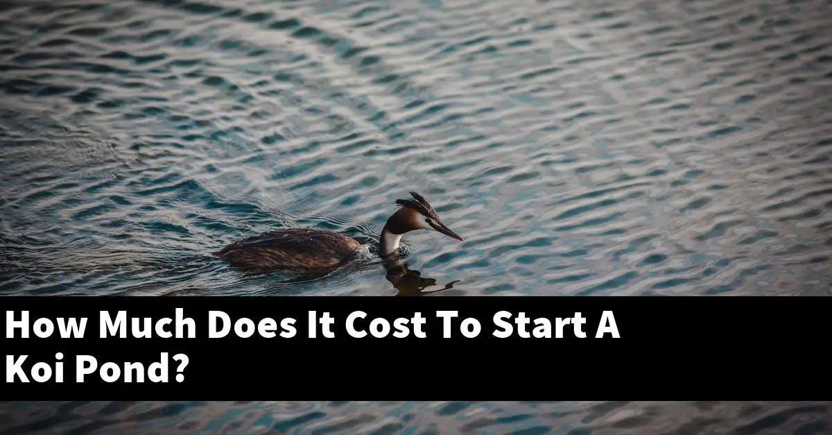 How Much Does It Cost To Start A Koi Pond?