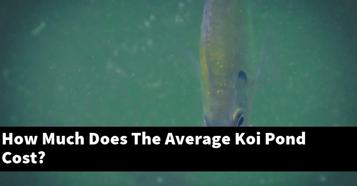 How Much Does The Average Koi Pond Cost?