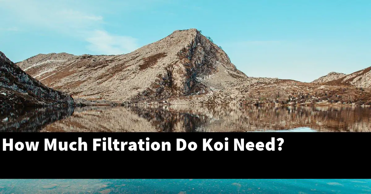 How Much Filtration Do Koi Need?