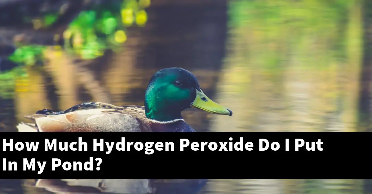 How Much Hydrogen Peroxide Do I Put In My Pond?
