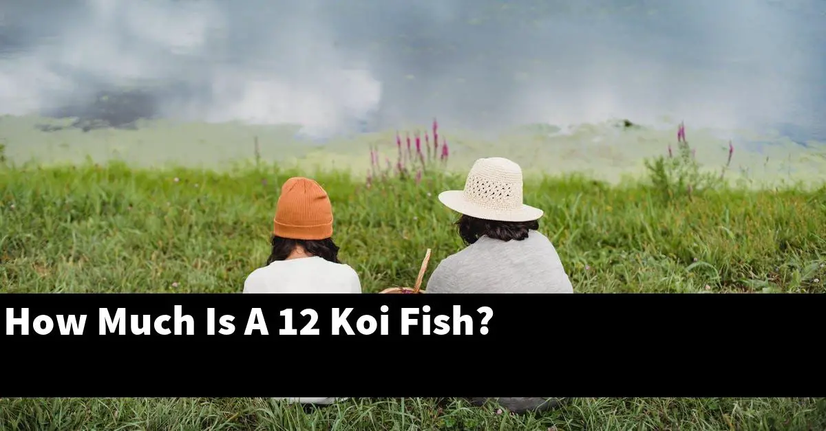 How Much Is A 12 Koi Fish?