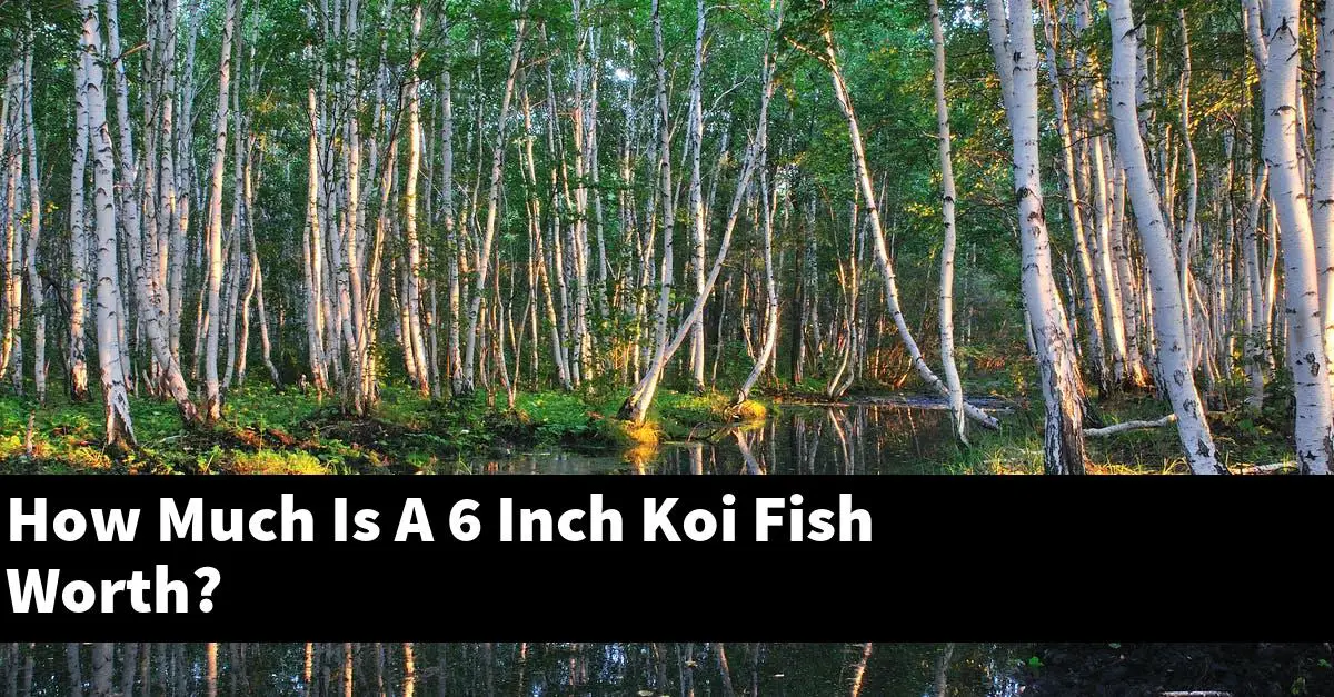 How Much Is A 6 Inch Koi Fish Worth?