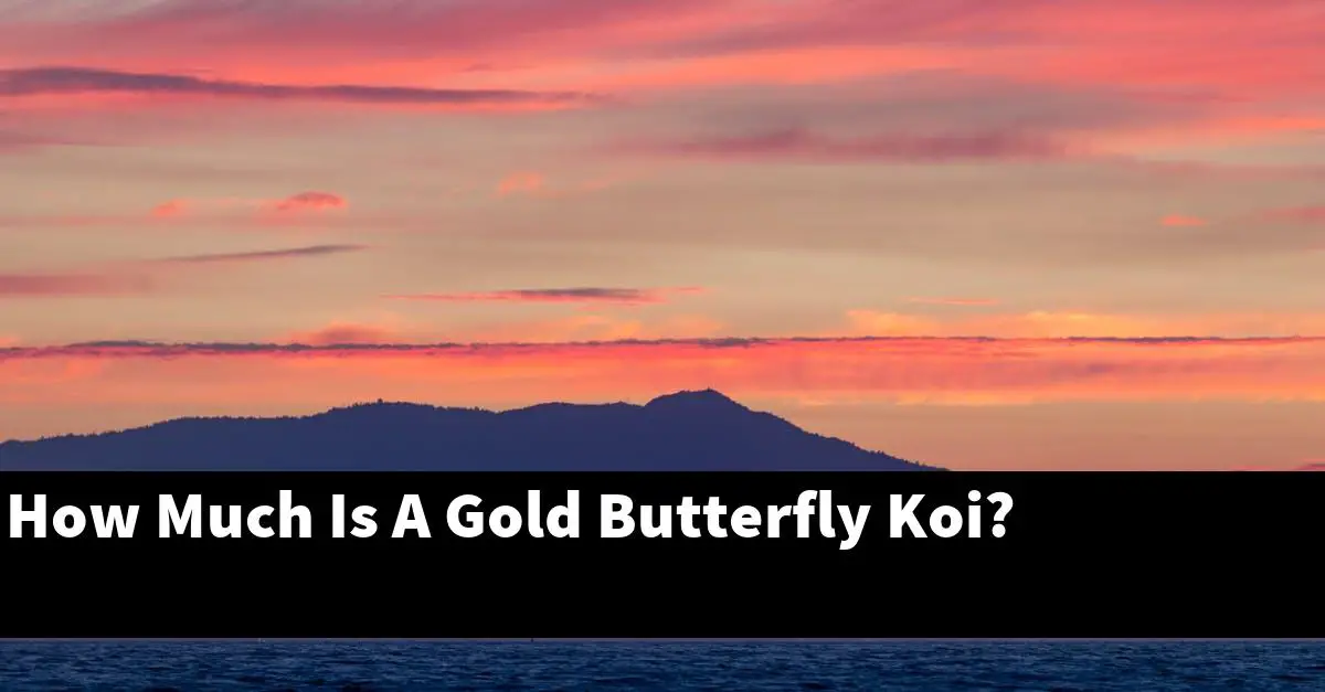 How Much Is A Gold Butterfly Koi?