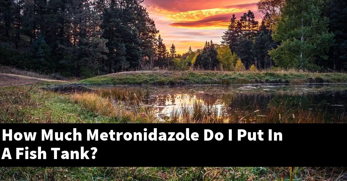 How Much Metronidazole Do I Put In A Fish Tank?