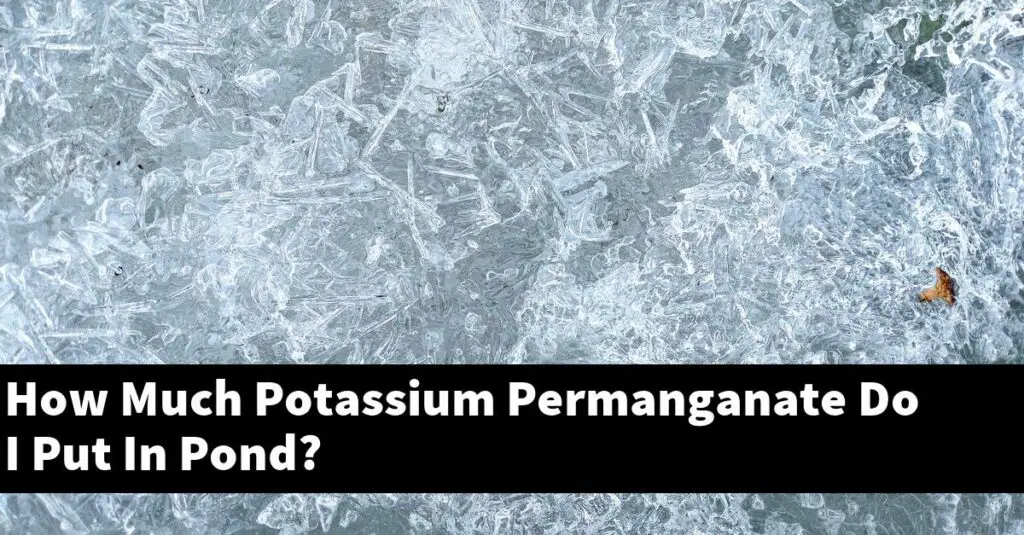 how-much-potassium-permanganate-do-i-put-in-pond-2023-guide-gold