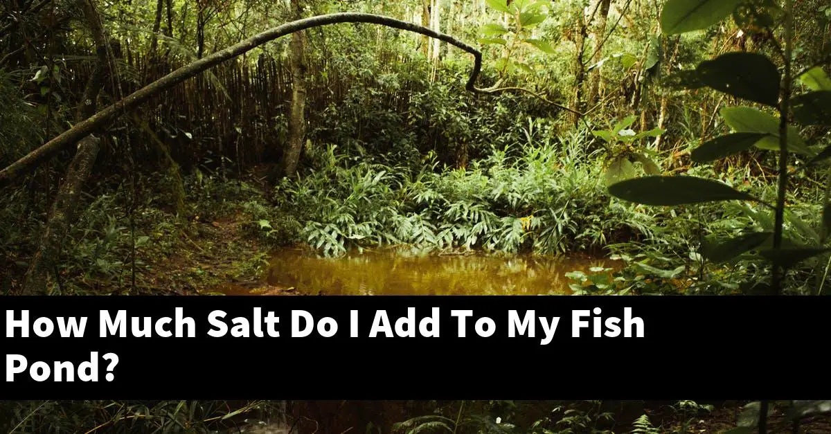 How Much Salt Do I Add To My Fish Pond?