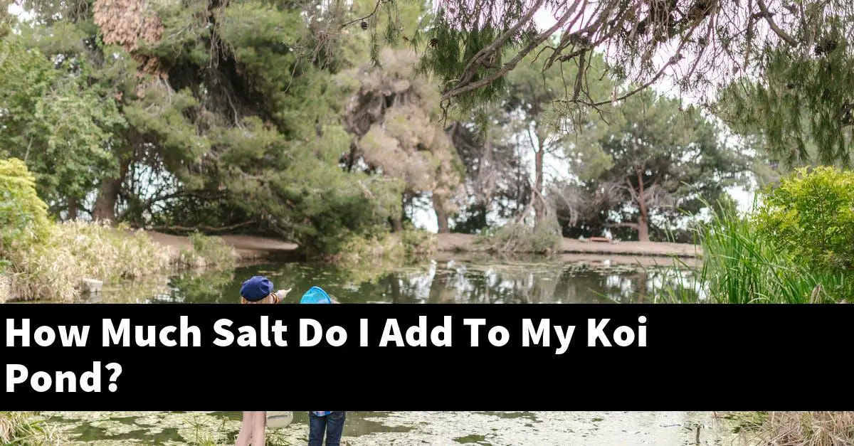 How Much Salt Do I Add To My Koi Pond?