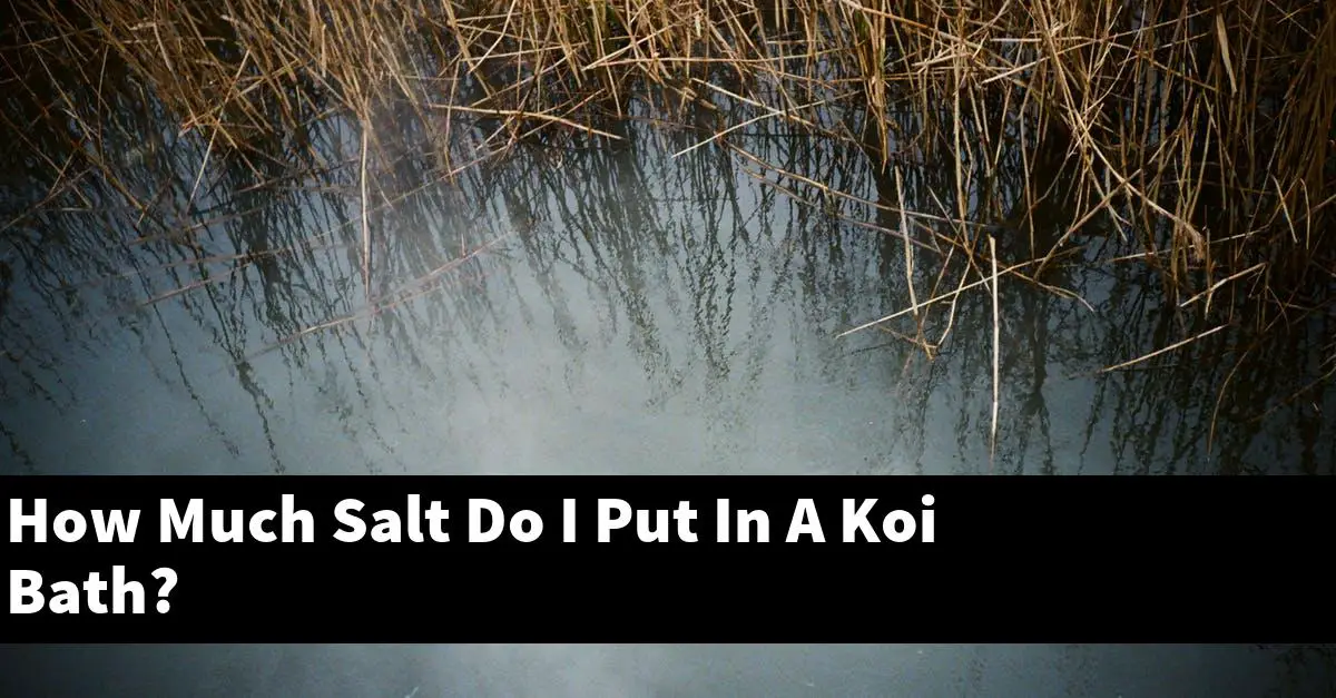 How Much Salt Do I Put In A Koi Bath?