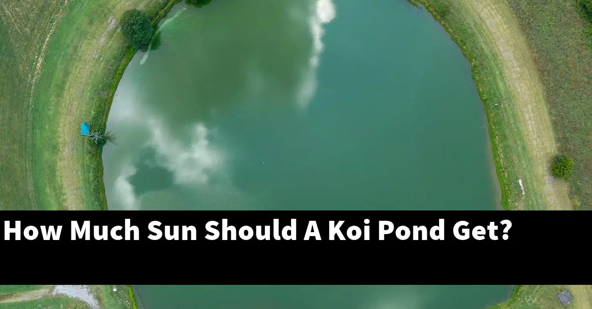 How Much Sun Should A Koi Pond Get?