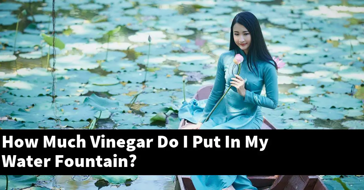 How Much Vinegar Do I Put In My Water Fountain?