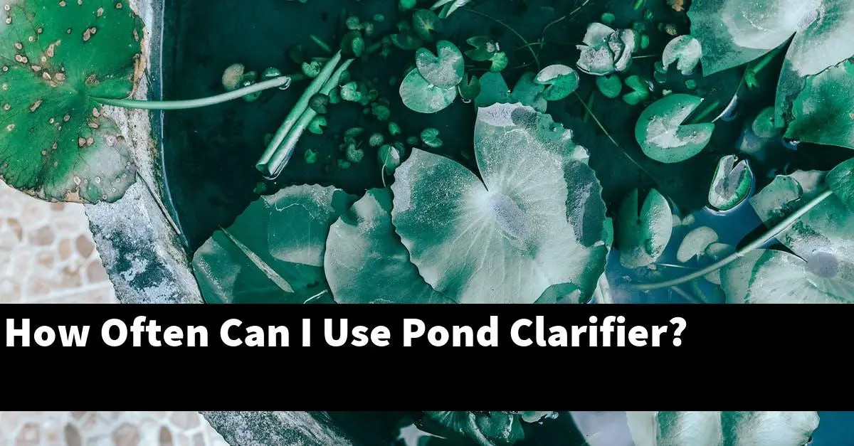 How Often Can I Use Pond Clarifier?