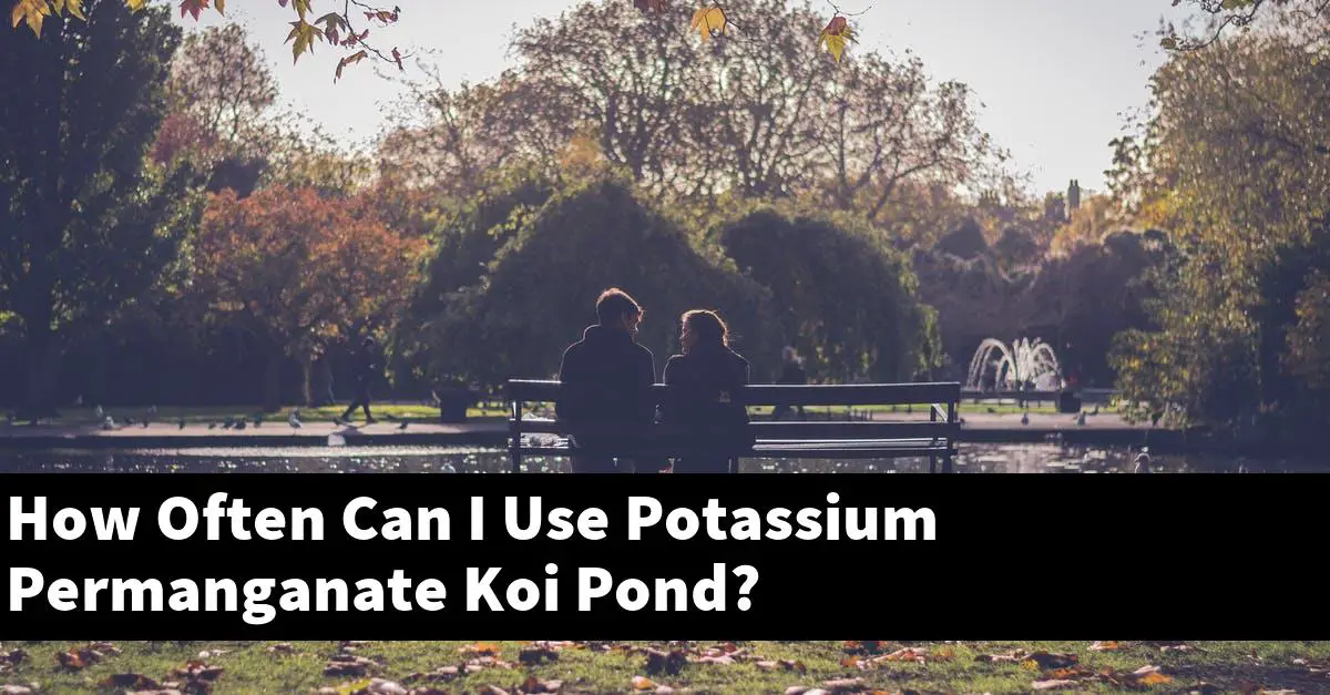 How Often Can I Use Potassium Permanganate Koi Pond?