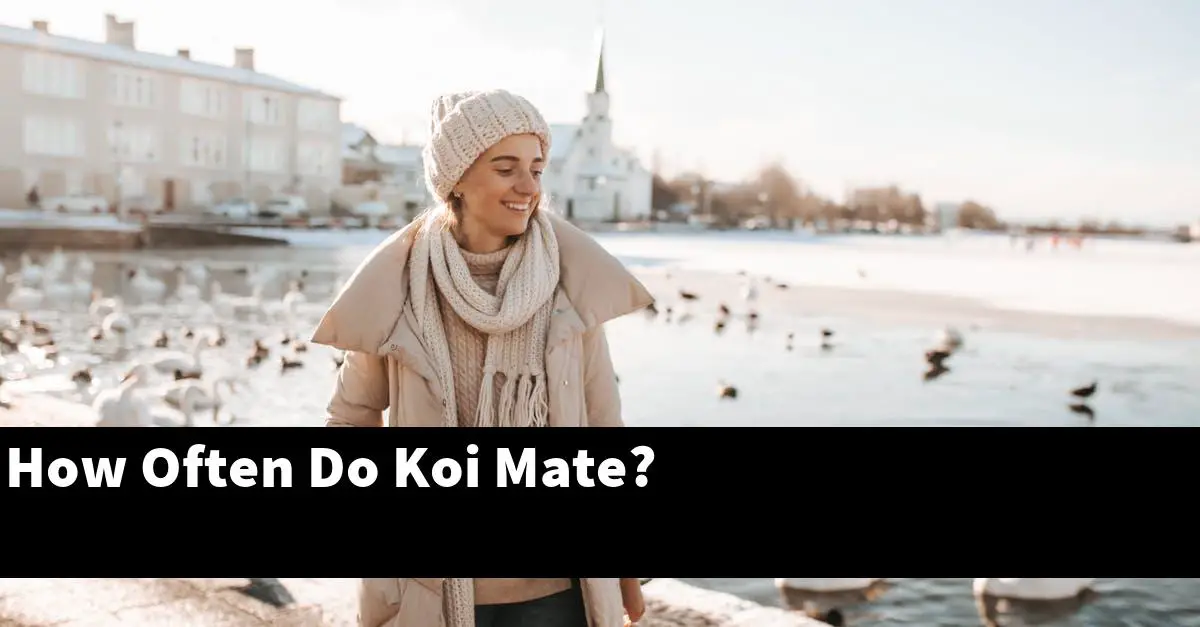 How Often Do Koi Mate?