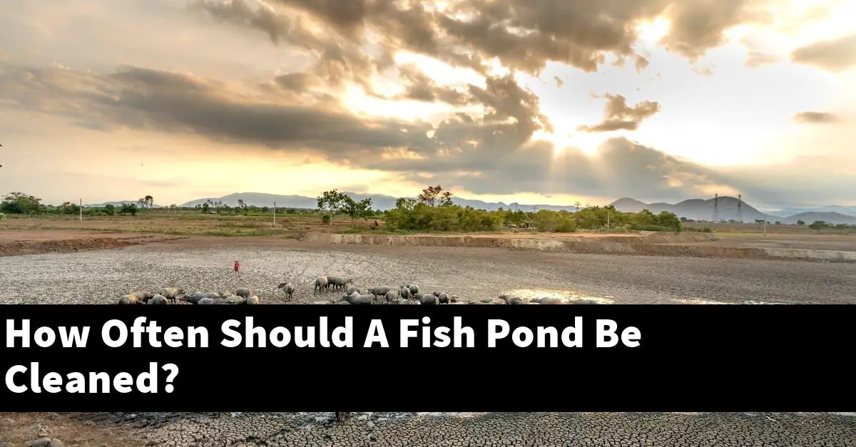 How Often Should A Fish Pond Be Cleaned?