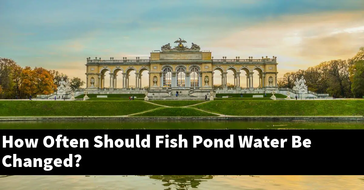 How Often Should Fish Pond Water Be Changed?