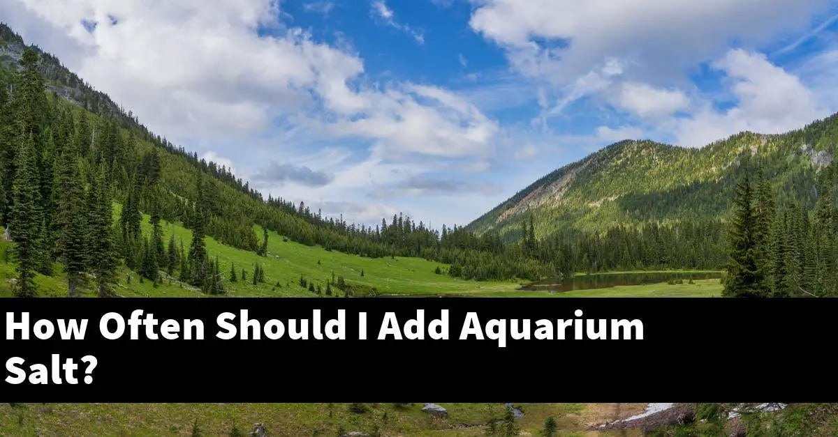 How Often Should I Add Aquarium Salt?