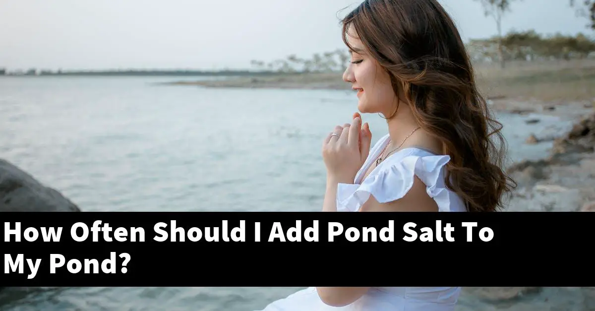 How Often Should I Add Pond Salt To My Pond?