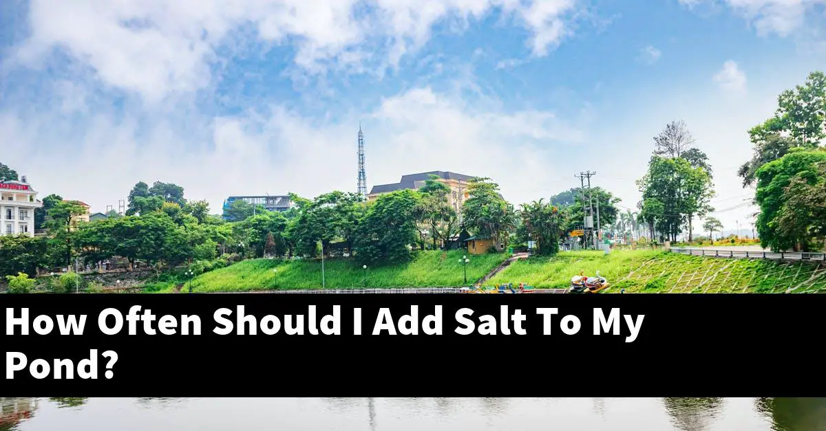 How Often Should I Add Salt To My Pond?