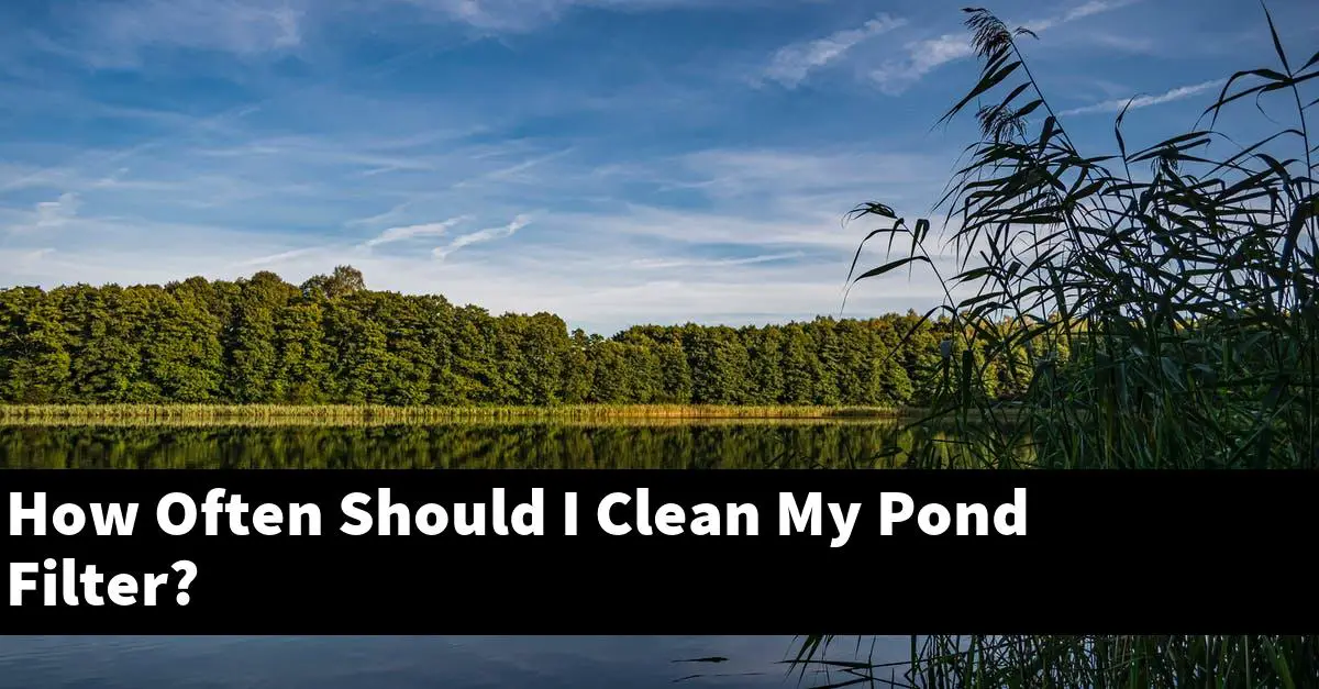 How Often Should I Clean My Pond Filter?