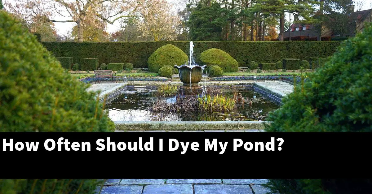 How Often Should I Dye My Pond?
