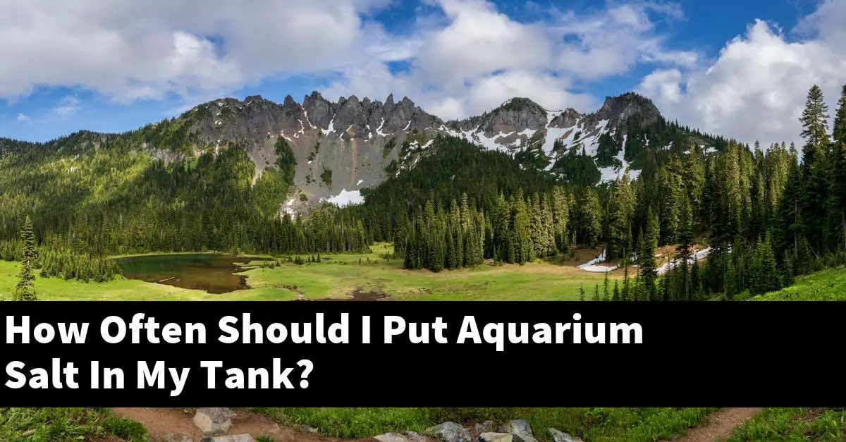 How Often Should I Put Aquarium Salt In My Tank?