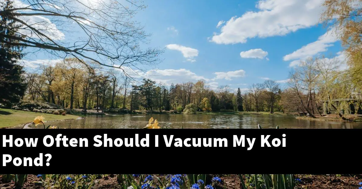 How Often Should I Vacuum My Koi Pond?