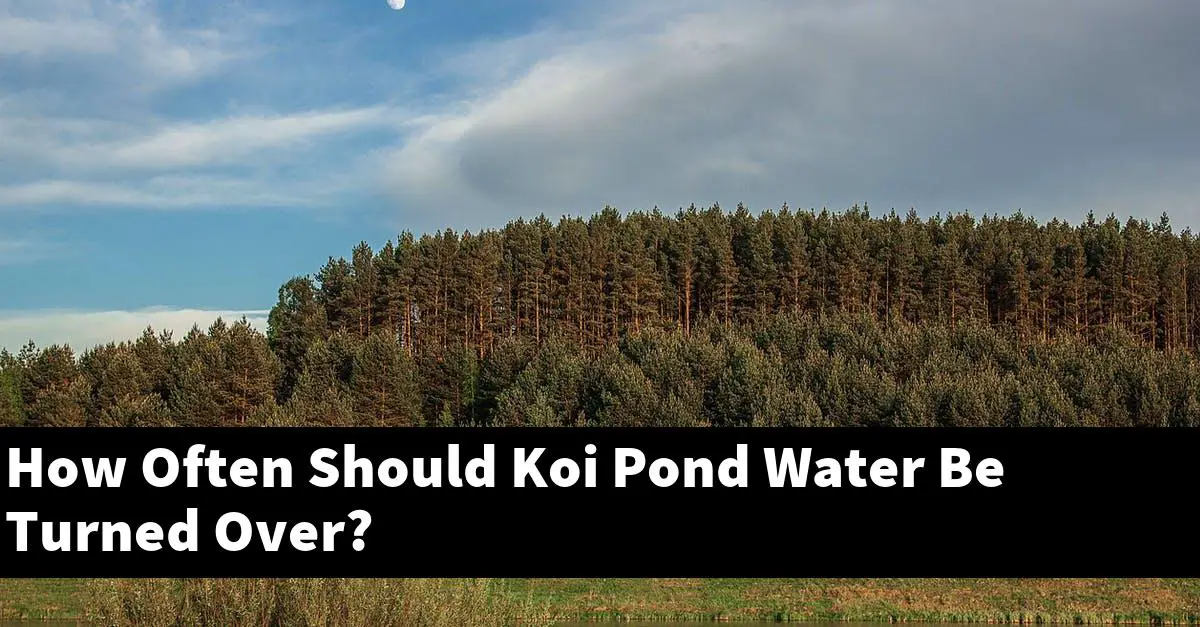How Often Should Koi Pond Water Be Turned Over?