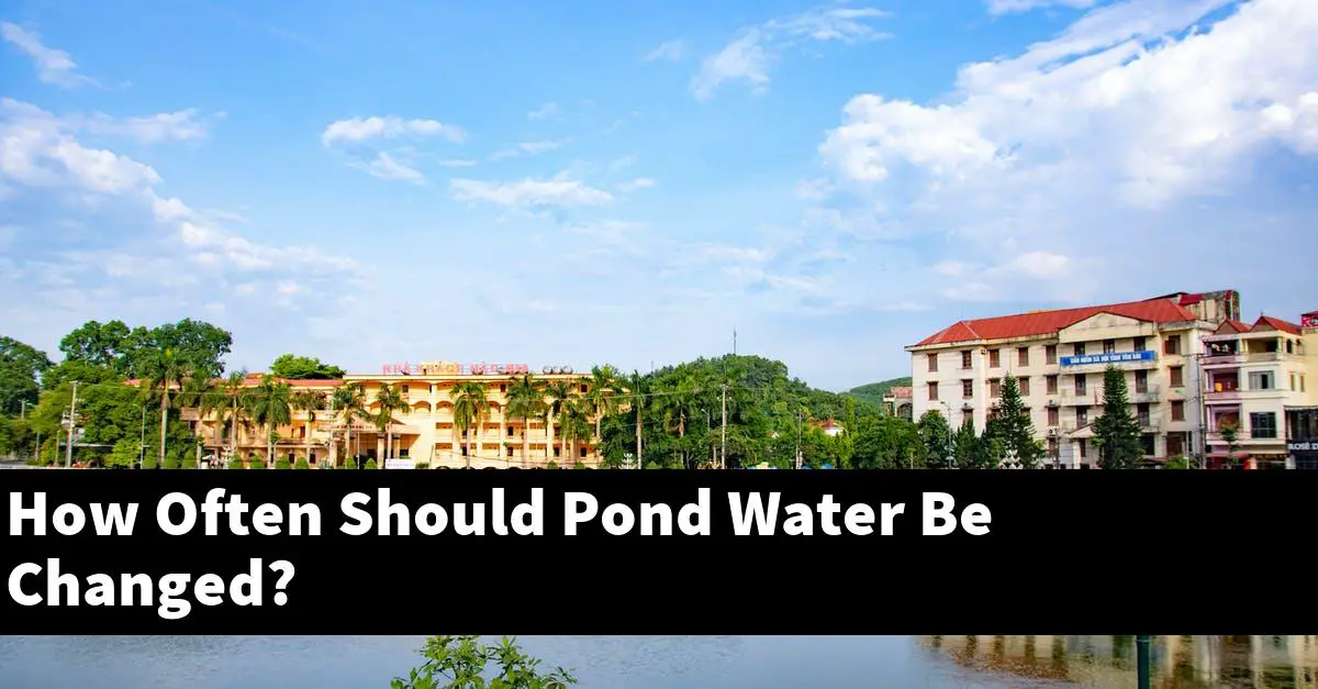 How Often Should Pond Water Be Changed?