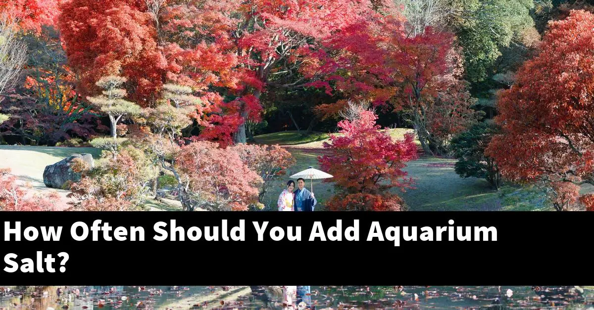 How Often Should You Add Aquarium Salt?