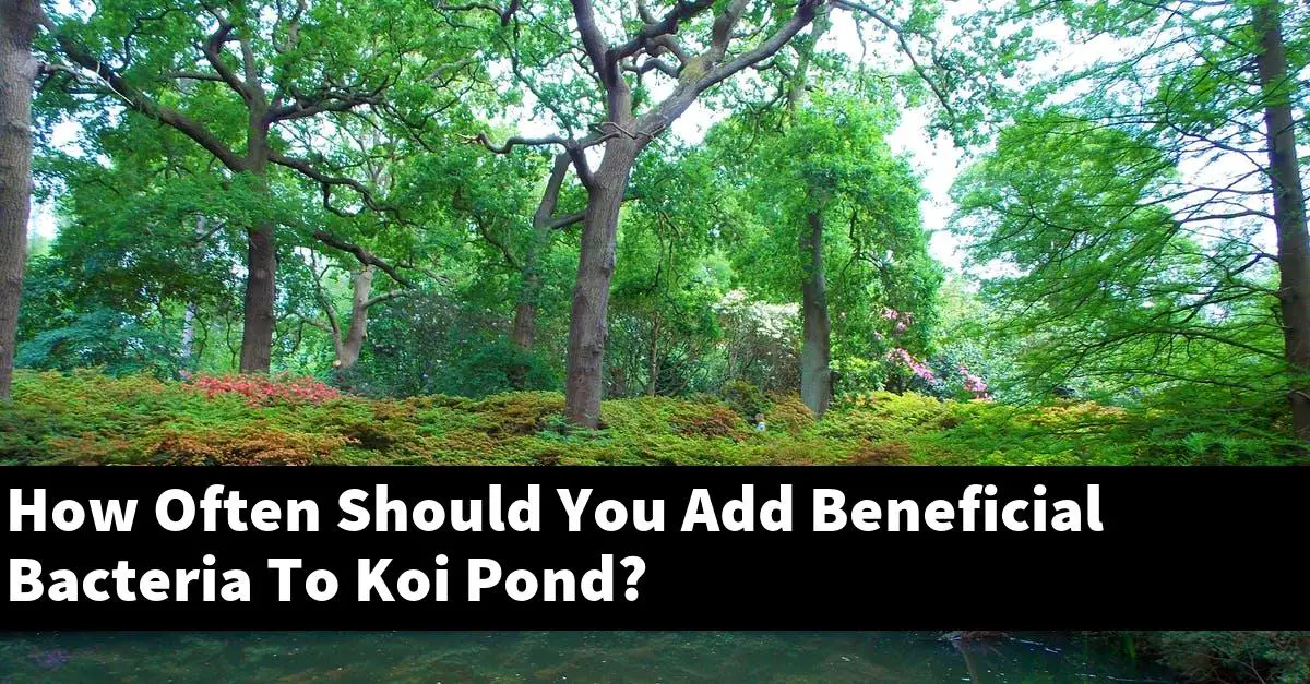 How Often Should You Add Beneficial Bacteria To Koi Pond?