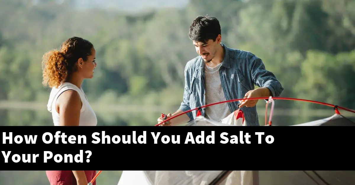 How Often Should You Add Salt To Your Pond?
