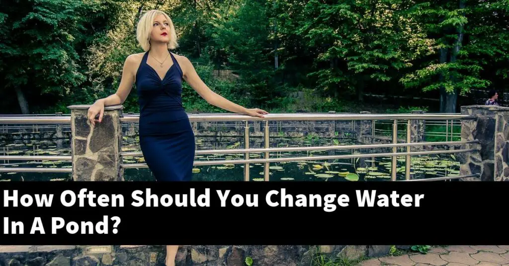 How Often Should You Change Water In A Pond? [2024 Guide] Gold Koi Fish