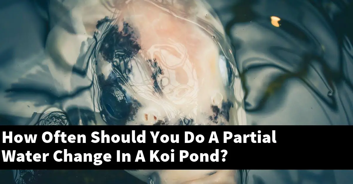 How Often Should You Do A Partial Water Change In A Koi Pond?