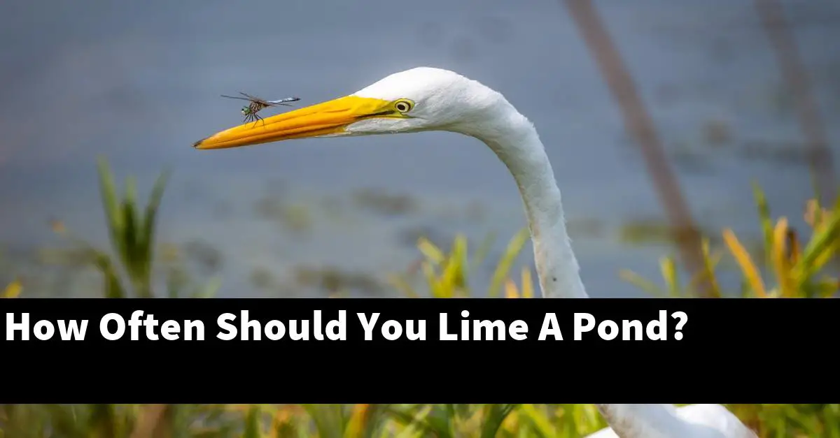 How Often Should You Lime A Pond?