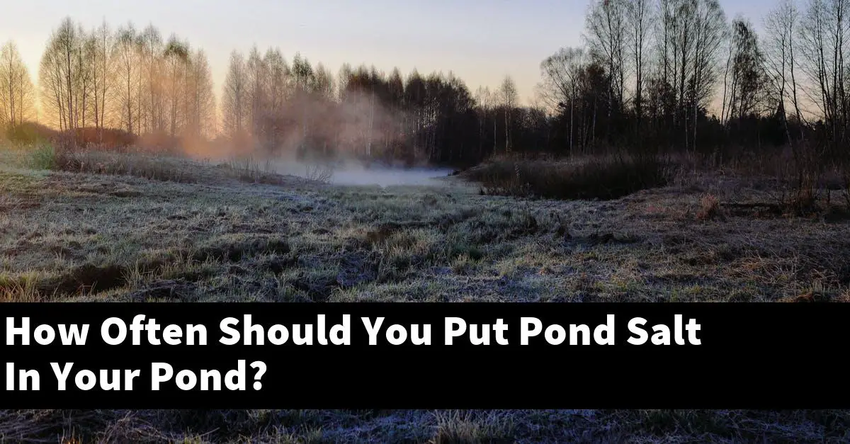 How Often Should You Put Pond Salt In Your Pond?