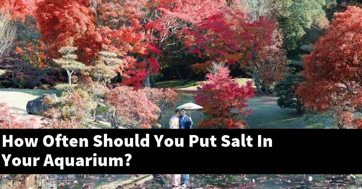 How Often Should You Put Salt In Your Aquarium?
