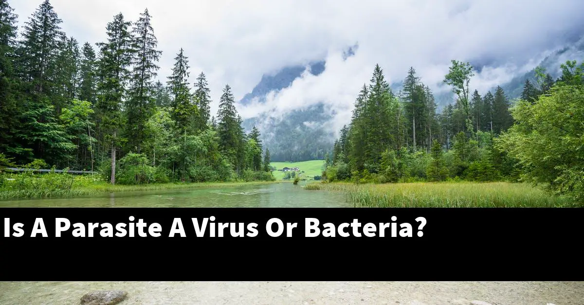 Is A Parasite A Virus Or Bacteria?
