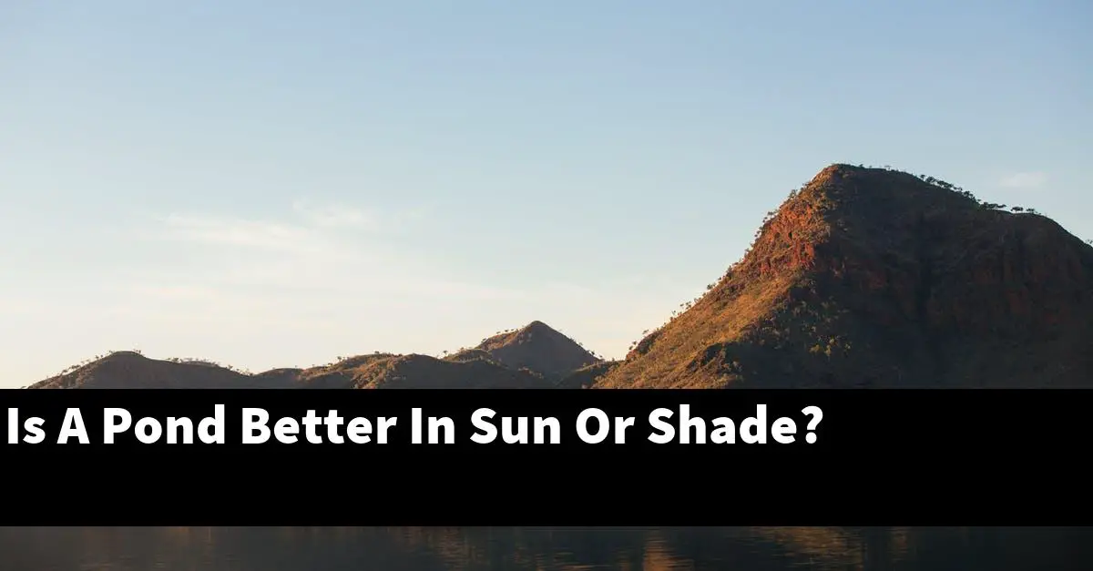 Is A Pond Better In Sun Or Shade?