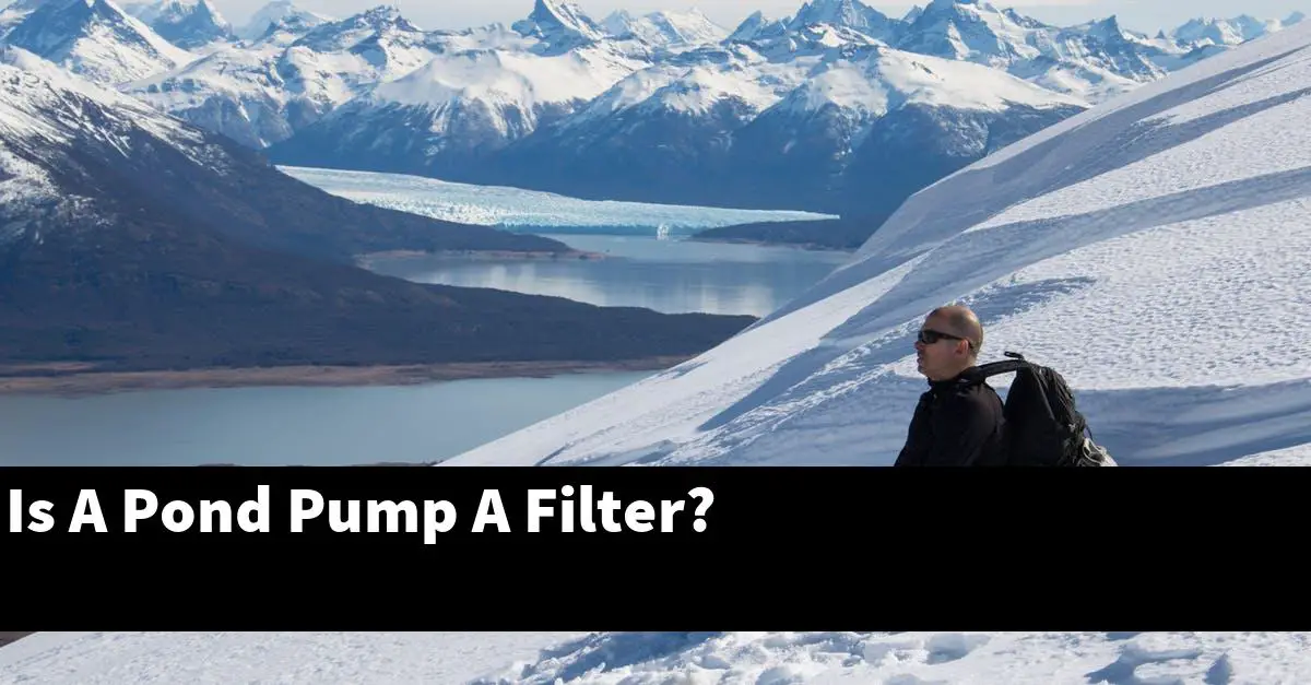Is A Pond Pump A Filter?