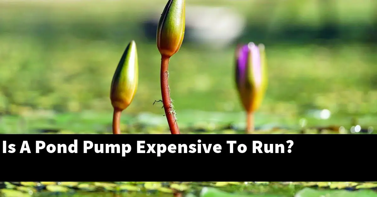 Is A Pond Pump Expensive To Run?