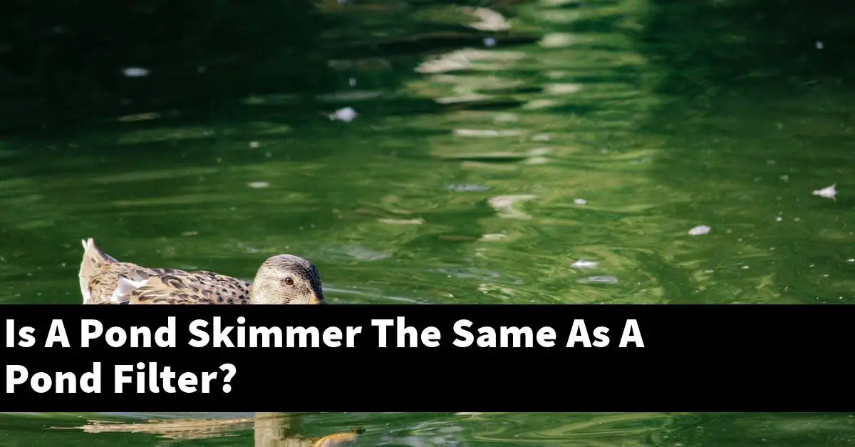 Is A Pond Skimmer The Same As A Pond Filter?